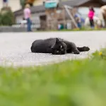 Agroturismo Hieserhof Neustift im Stubaital