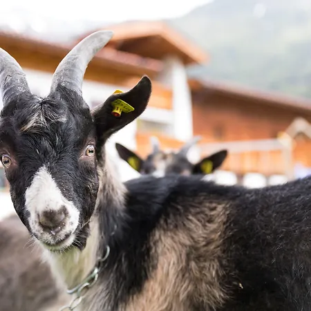 Hieserhof * Neustift im Stubaital