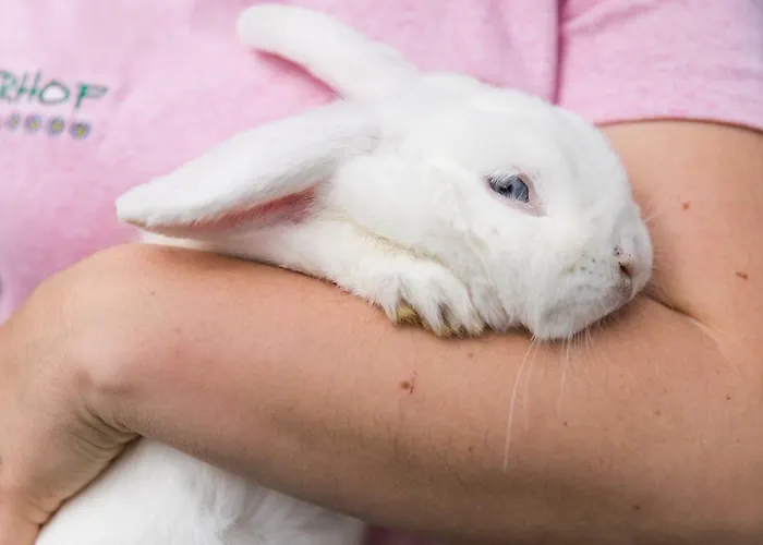 Hieserhof Agroturismo *