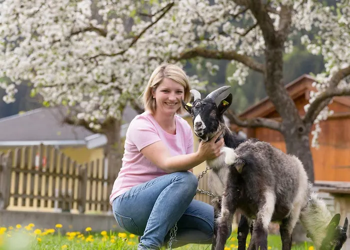 Farm stay Hieserhof