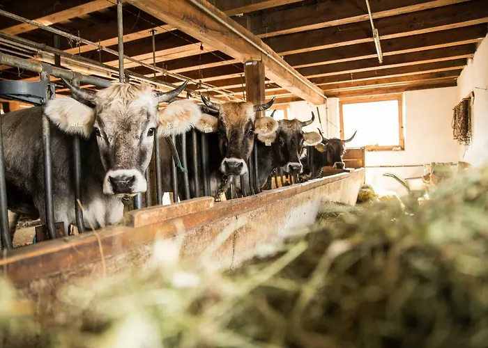 Hieserhof Farm stay