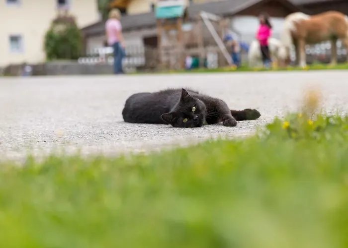 Alojamento de Turismo Rural Hieserhof Neustift im Stubaital