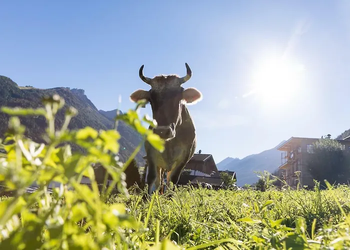 Alojamento de Turismo Rural Hieserhof *