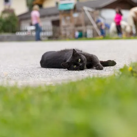 Vakantieboerderij Hieserhof Neustift im Stubaital